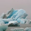 옵션레스토랑 이미지