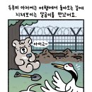 소망5 이미지
