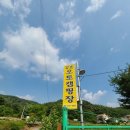 강촌 하늘아래글램핑 솔직후기