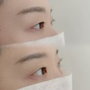 와이오엔 이미지