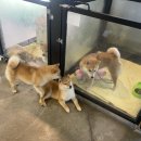 루이몽 | 루이몽 방문기 : 나대는 심장 진정해!(feat. 무료 항공권)