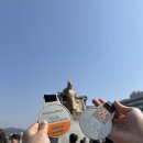 러닝 왕초보 더레이스서울21K 마라톤 첫 참가 후기