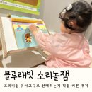 블루래빗 소리놀잼 후기, 왜 엄마들이 프리미엄 유아교구로 선택하는지 직접 써본 리얼 후기