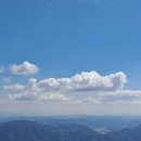 태인농장2 이미지