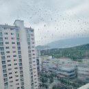 주공아파트 앞 | 김해 장유 주공아파트 유리창 청소 후기