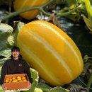 정용농장 이미지