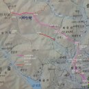 읍내리농로 이미지