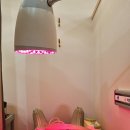 해맞이한의원 이미지