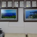 성실한 행정사 사무소 이미지