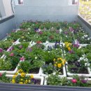 고성군농업기술센터 이미지