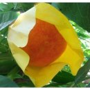 혁이농장 이미지