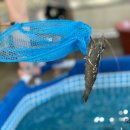 왕징농장 이미지