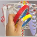 가수원로-2 이미지