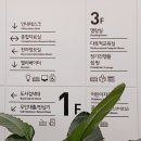 미어실 이미지