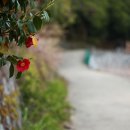 레레 - 부산진구 | 레레
