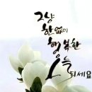 100세 건강의료기 네이버블로그