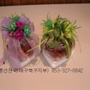 풍선천국 Daum카페