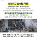 시온디자인주 이미지