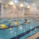 월드스포츠스쿨 아쿠아센터 이미지