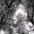 설악산냉면 이미지