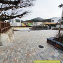 티에스바리스타당산나무