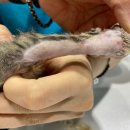 행복한에이치(H)병원 이미지