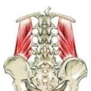 영짐(YOUNG GYM) 이미지