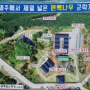 토종흑염소 이미지