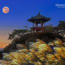 아 으악새 슬피 우니 이미지