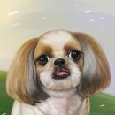 보리사랑 이미지