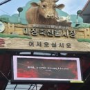 대흥축산 이미지