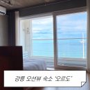 오르도 | 강원도 주문진 영진해변 오션뷰 숙소 [오르도]후기