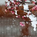 초당동-4 이미지