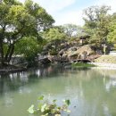 강변운동장제방 이미지