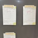 포포 데이케어 네이버블로그