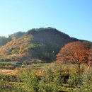 절골민박 이미지