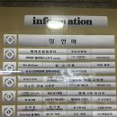 야탑 미용실 “미봉헤어 야탑점” 가연 실장님 클리닉 후기!