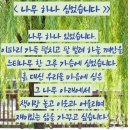 느티나무작은도서관 이미지