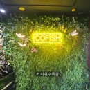 커피쉬수족관