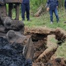 (주)이앤티 이미지