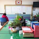 동북초등학교 이미지