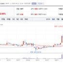 와이앤지글로벌 이미지