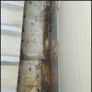 팔탄면사무소 게이트볼장 이미지