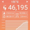 신평동364 Daum카페