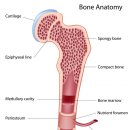 통증이 발생하는 이유들 그리고 치료적 대안? 이미지