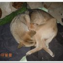 짱이교육