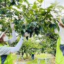 한국농수산식품유통공사 이미지