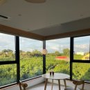 스테이하례 이미지