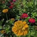 연천삼곶리돌무지무덤 | 연천여행 임진강 댑싸리정원 연천삼곶리 돌무지무덤도 같이 돌아봐요