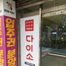 (주)아성다이소 수원매교역점 | [수원 매교역점 다이소] 수원 매교동 다이소 찐 후기 !!
